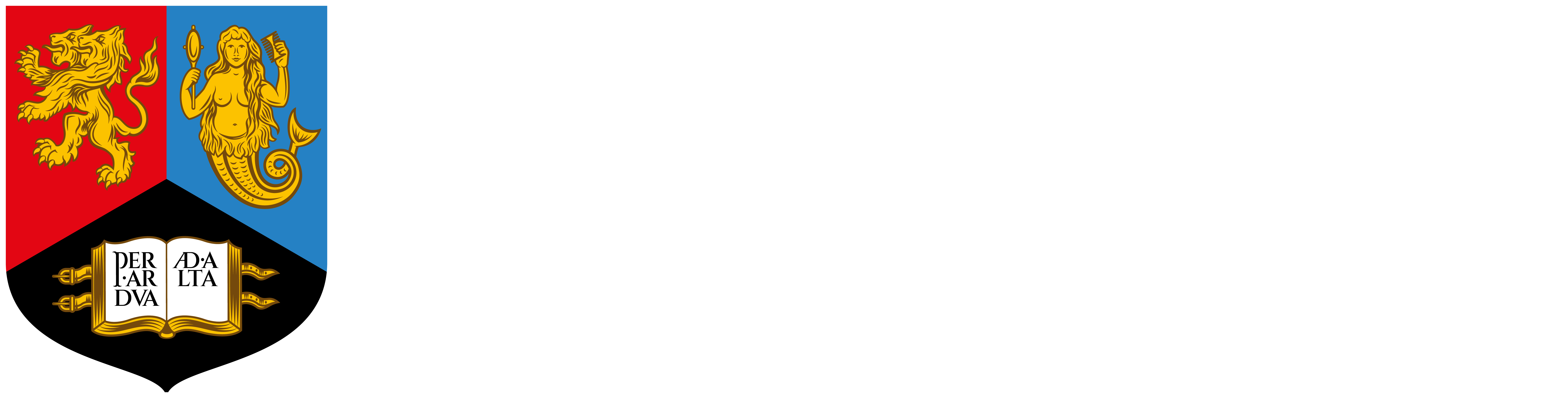University of Birmingham Logo